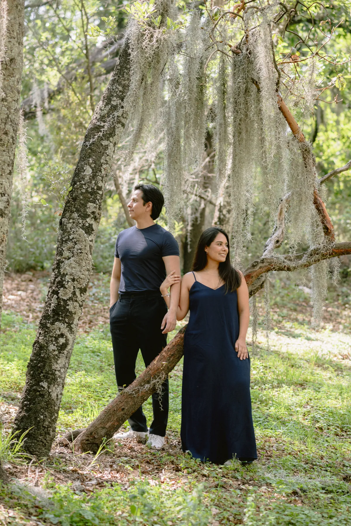 Ana y David bajo el árbol